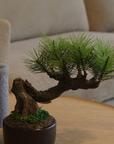 Shirabe / Artificial Modern Bonsai (S)