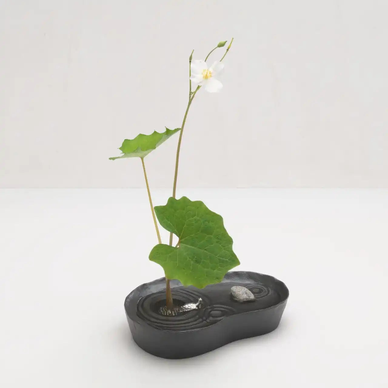 雫影 かたかご 花器 | ギフトショップ Nihon Miyabi 通販サイト