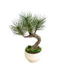 Shirabe / Artificial Modern Bonsai (Petit)