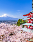 現代掛け軸 山梨県新倉山浅間公園 富士山と五重塔の風景