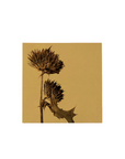 野原薊 Thistle アートパネル