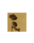 野原薊 Thistle アートパネル