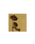 野原薊 Thistle アートパネル