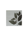 洋種山牛蒡 Pokeweed アートパネル