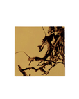 木根 Tree Root アートパネル