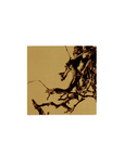 木根 Tree Root アートパネル
