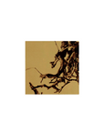 木根 Tree Root アートパネル