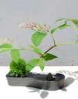 雫影 なでしこ 花器