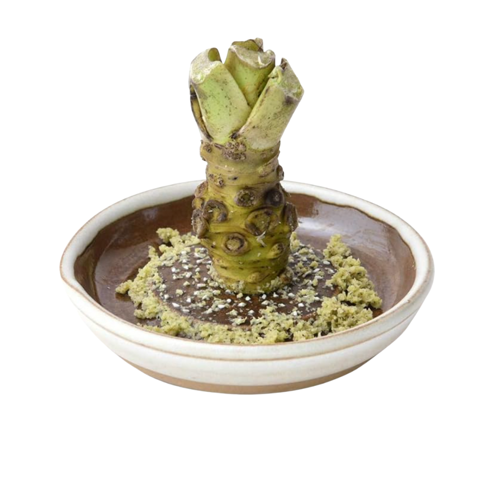 【新規取扱開始】 元重製陶所　おろしとすり鉢の専門窯元  ― 石見焼の伝統と職人技が生み出す、心地よい道具 ―