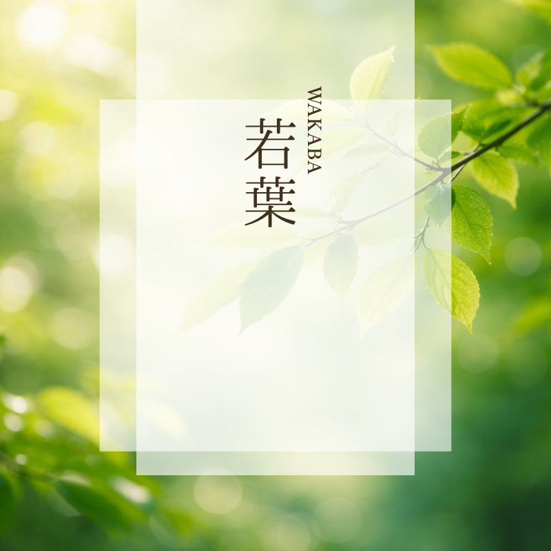 カタログギフト