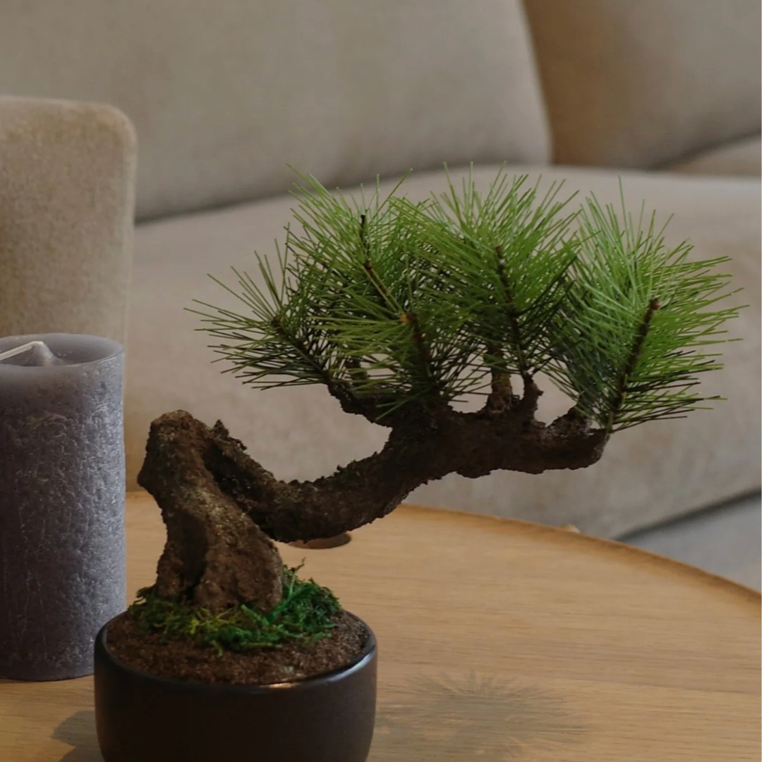 Shirabe / Artificial Modern Bonsai (S)