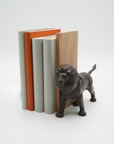OMOSHI Bookend Section「ライオン」