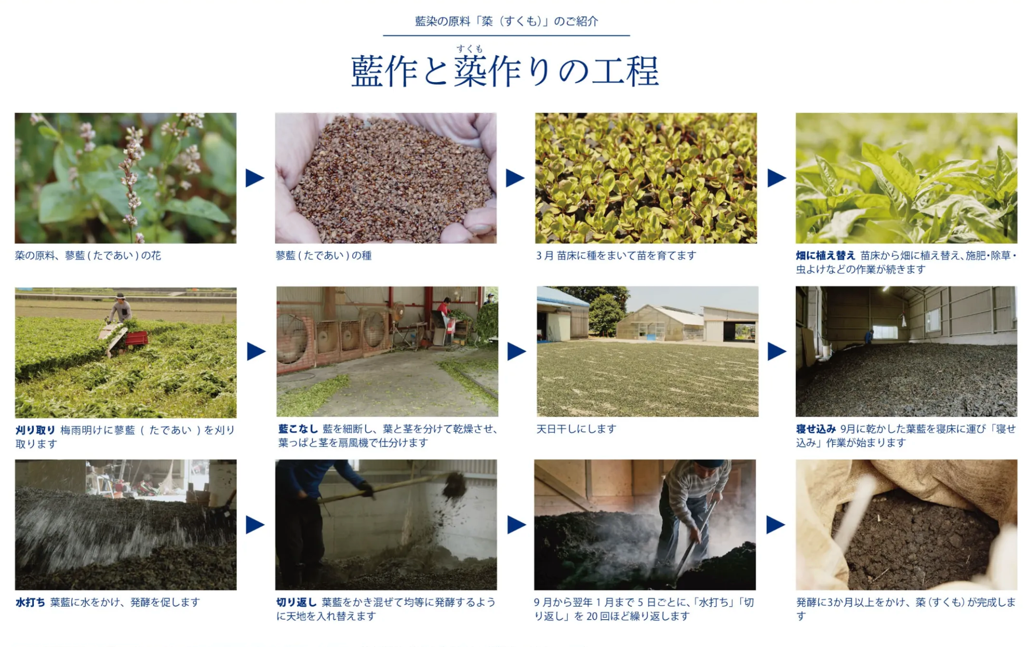 青藍工房 藍染日傘 臈纈染
