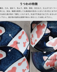 美濃焼 寿司湯呑 錦鯉（NISHIKI GOI)