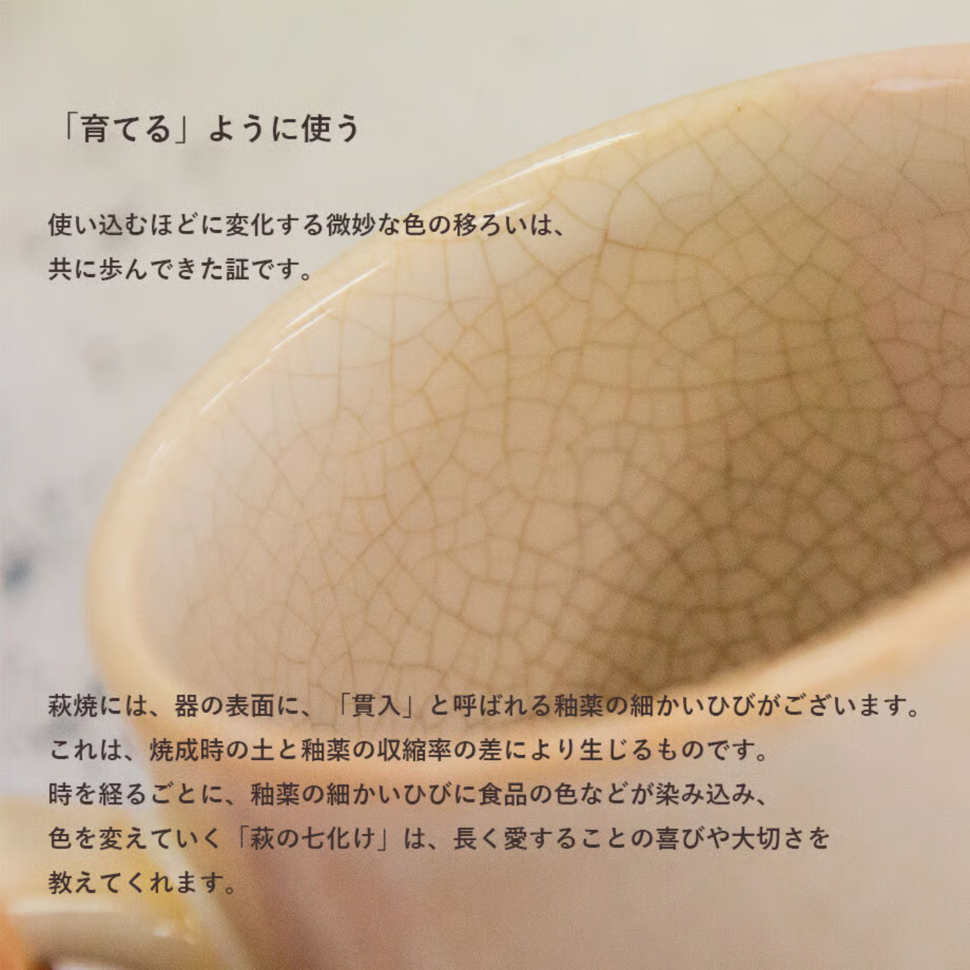萩焼 お祝い夫婦湯呑みセット つぼみ露草・桜