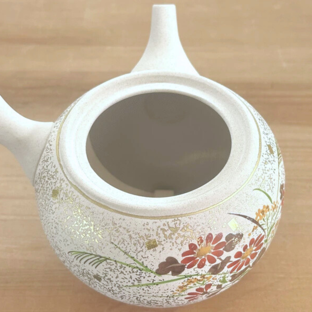 常滑焼×九谷焼  急須 白泥丸形菊薄柄 晶窯