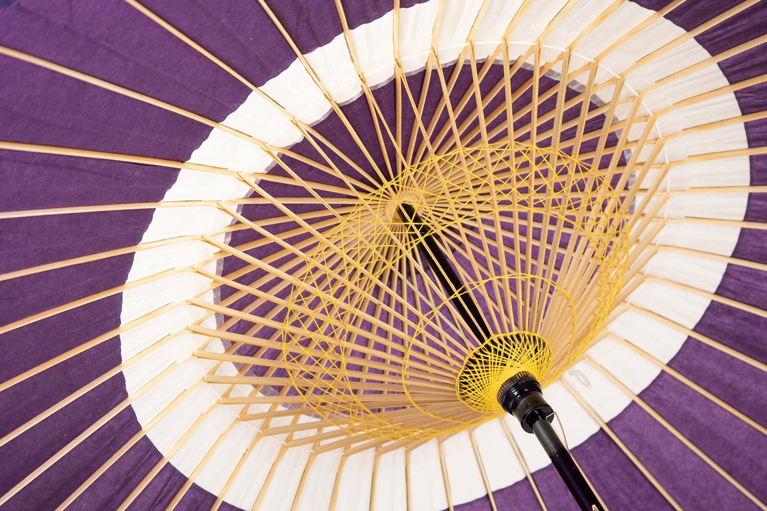蛇ノ目傘 B（中） 紫 蛇ノ目傘 B（中） 紫メイチョー : 開業プロ メイチョー