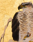 鷹と温め鳥(KOSON) アートパネル