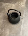 南部鉄器 岩鋳  鉄瓶 650ml アラレ(IH対応)