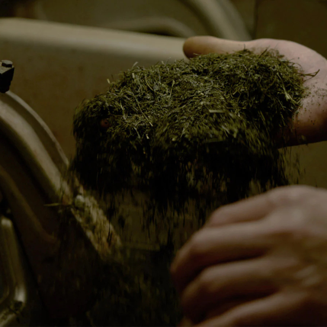 静岡牧之原 「北浦おくみどり抹茶」 手摘み 石臼挽き 40g （3月上旬発送開始）